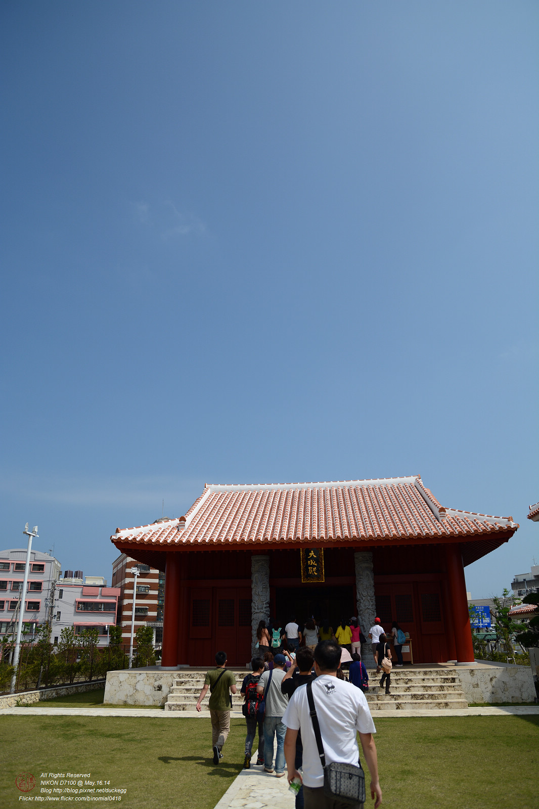 DSC_3390.jpg